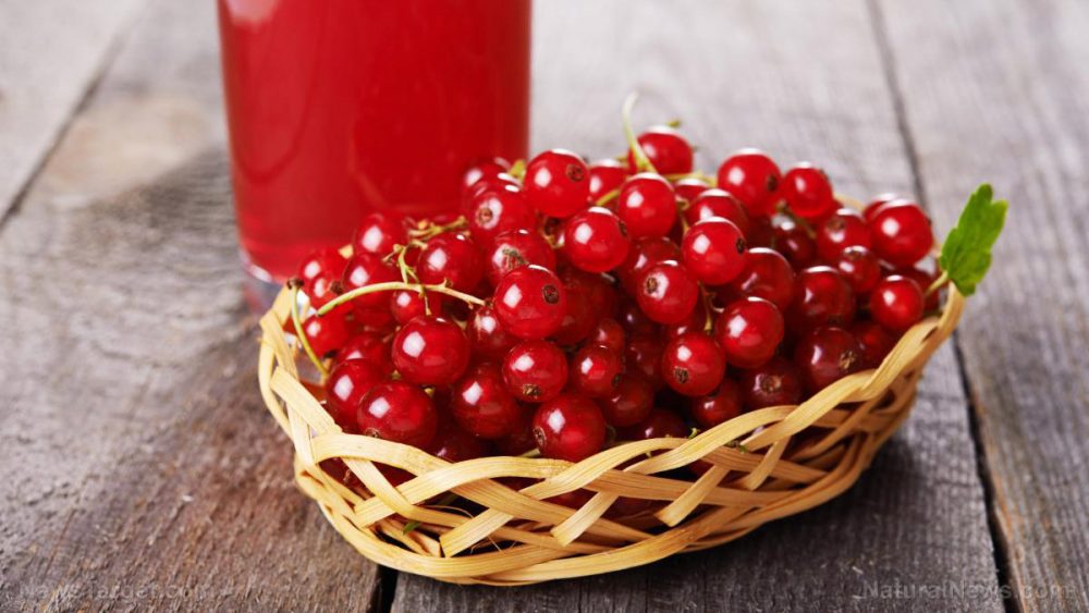 Cranberries prevent cancer and many other chronic diseases