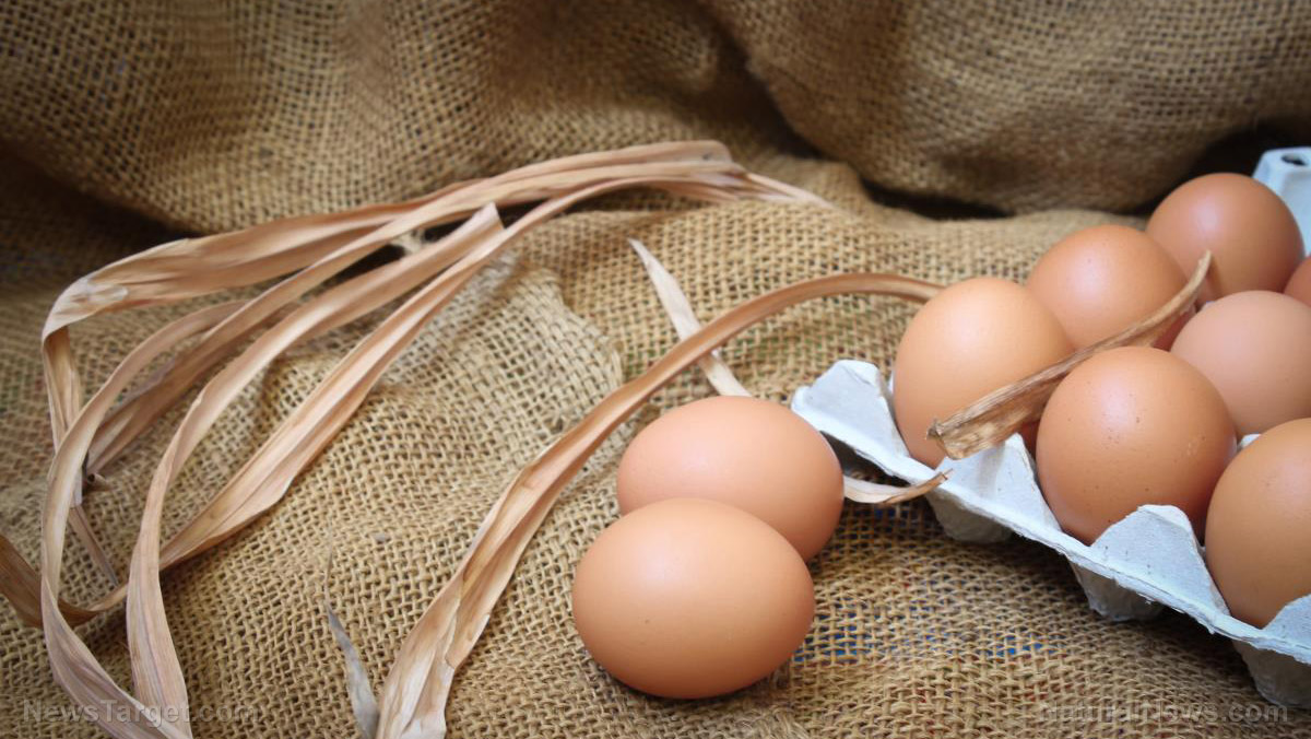 What Is Shelf Life Of Eggs