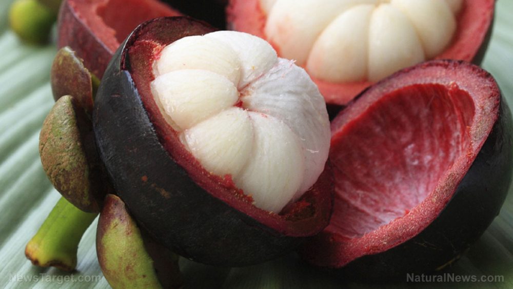 Mangosteen offers profound benefits for obese people