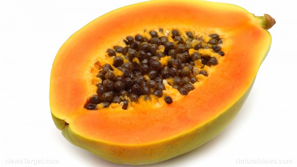 Food scientists: Eat more wild papaya for a stronger immune system
