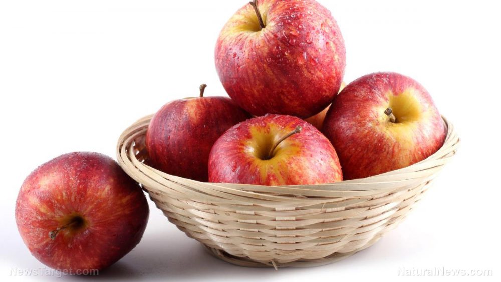 Apple extracts increase the excretion of cholesterol by an impressive 35% in healthy people