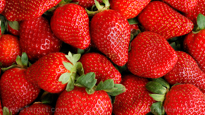 The many health benefits of eating organic strawberries