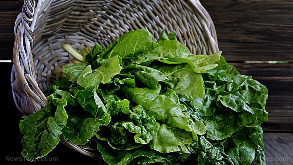 5 Good reasons to include more magnesium-rich foods in your diet