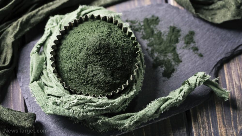 Study: Supplementing with spirulina helps modulate body weight and appetite