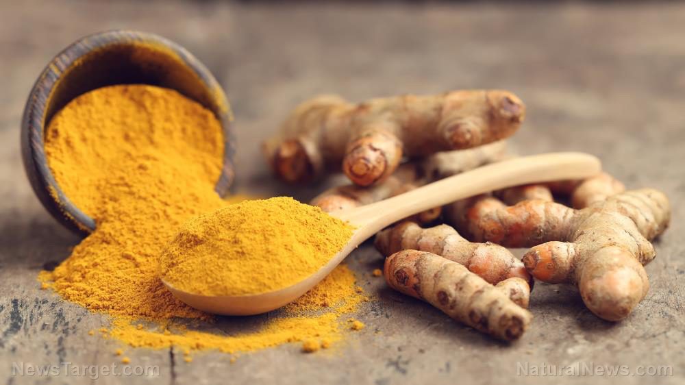 Compelling study confirms the therapeutic effects of curcumin in removing fluoride from our bodies