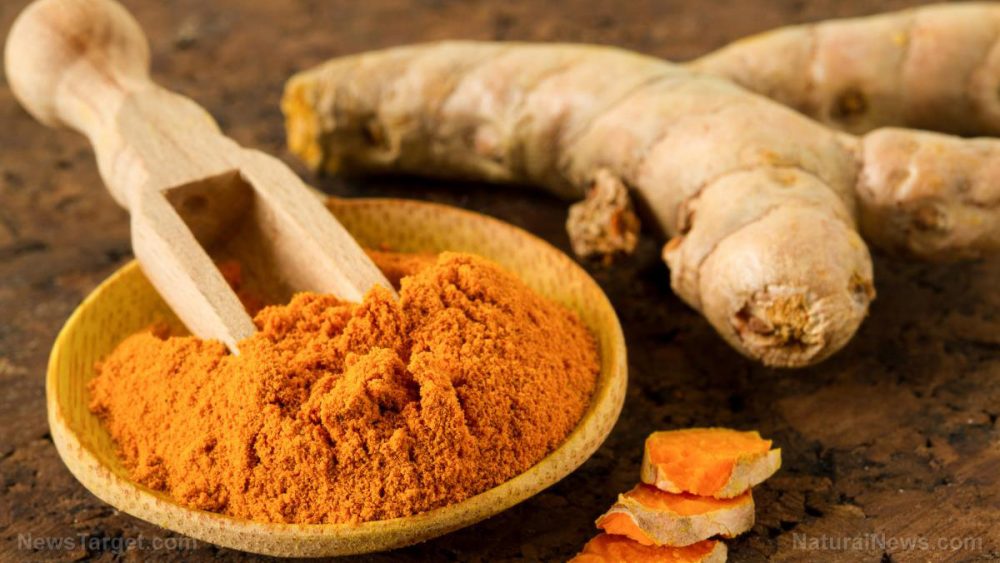 Reduce weight and inflammation by combining curcumin and piperine with calorie restriction diet