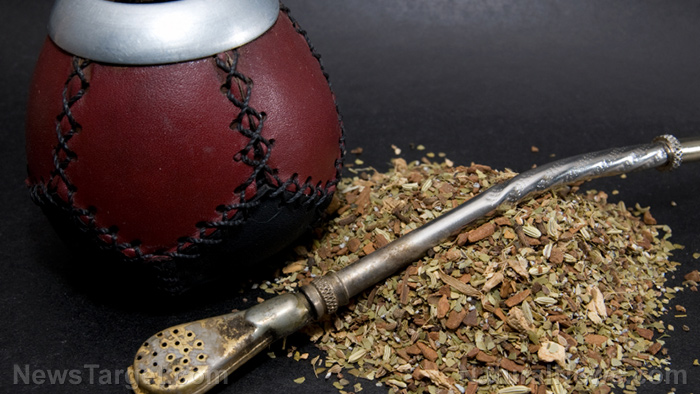 Better than coffee? Yerba mate is an herbal tea that keeps your mind strong AND helps you lose weight