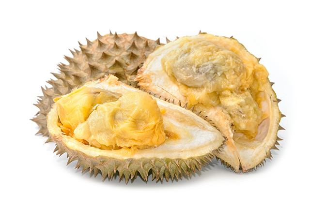 All the health benefits of durian fruit without having to eat it – researchers have discovered its promise as a probiotic
