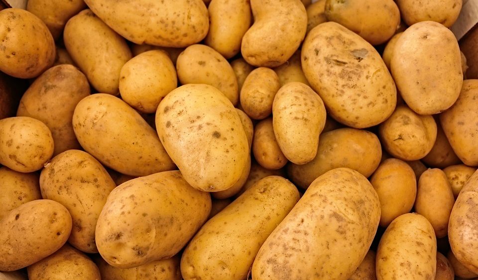 Potatoes GOOD for diabetics? Study finds prebiotic from potatoes actually reduces insulin resistance