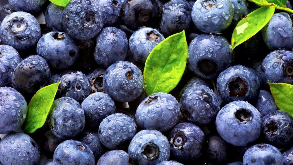 Want a younger brain? A polyphenol-rich extract of grape and blueberry found to reduce cognitive decline