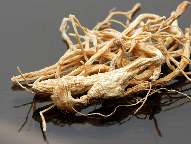 Extracts from Chinese ginseng found to protect the brain of stroke patients