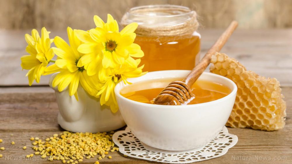 Science again confirms the efficacy of ancient medicine: The antibacterial properties of honey found to be effective against resistant MRSA