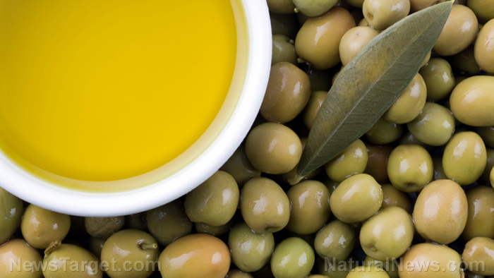 Olive wine can be used to reduce oxidative stress