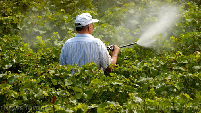Even low-level exposure to pesticides increases your risk of Parkinson’s