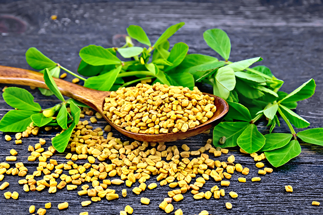 Naturally manage your blood cholesterol with fenugreek seeds
