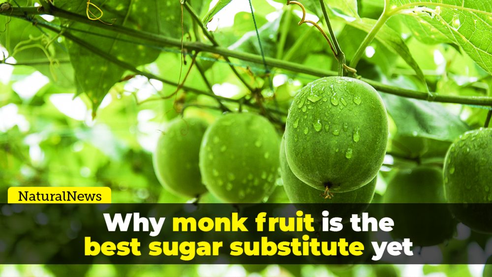 Why monk fruit is the best sugar substitute yet discovered