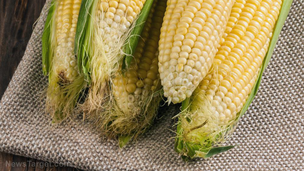 Corn silk provides remarkable health benefits for your kidneys and heart