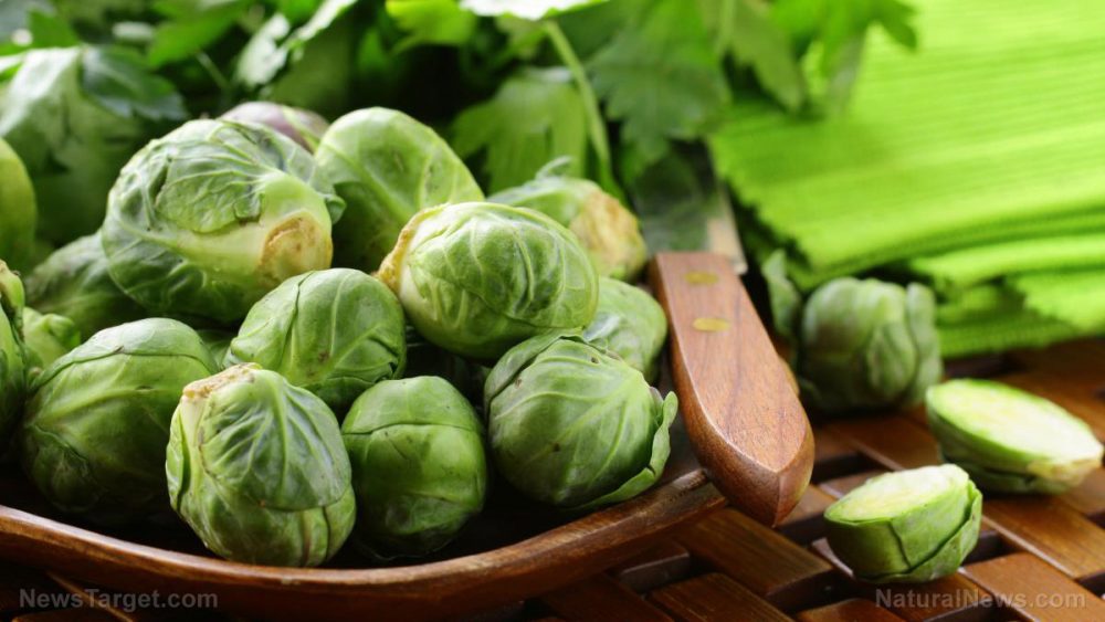 Early stages of schizophrenia can be treated with nutrients found in Brussels sprouts, shellfish, and oranges