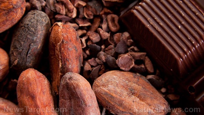 Cure for coughs found in chocolate? Study finds that cocoa is effective cough medicine