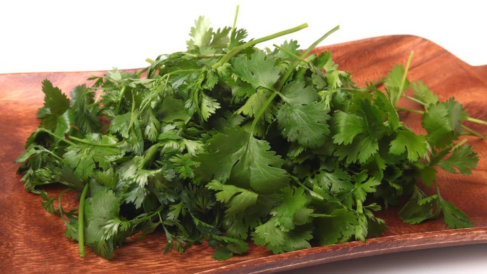 Eating coriander protects your heart from damage