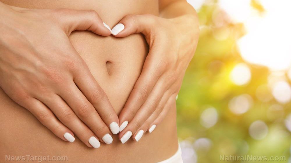 Why prebiotics are absolutely essential to gut health