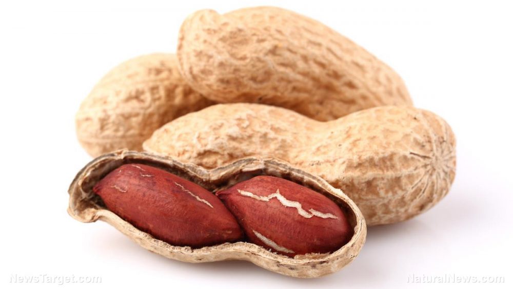 Women who snack on peanuts eat less during the day, study shows