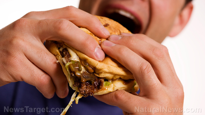Deadly cycle: Eating high-fat food makes us hungrier, more likely to snack on junk