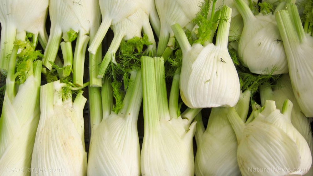 Study confirms the effectiveness of fennel for reducing postmenopausal symptoms