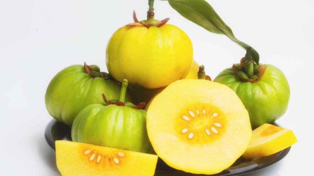 Garcinia cambogia found to lower abnormally high cholesterol levels