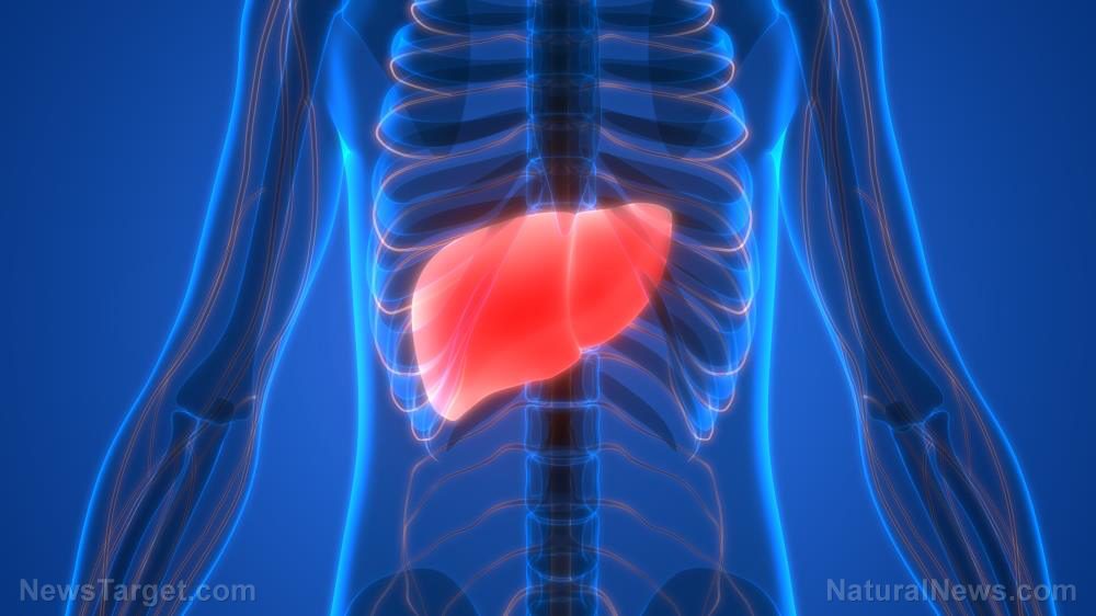 Study suggests eating more lycopene-rich foods to prevent nonalcoholic fatty liver disease