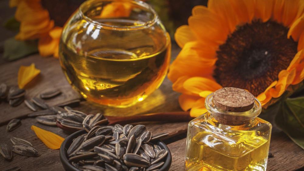 Seed oils are the best choice for people looking to improve their cholesterol