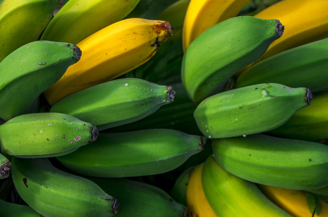 A natural medicine for depression may be found in plantain