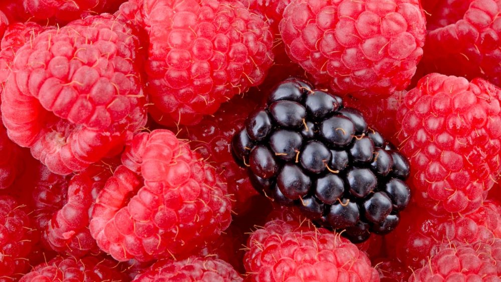 Eat more berries: Anthocyanins suppress tumors, disrupt the expression of cancer genes