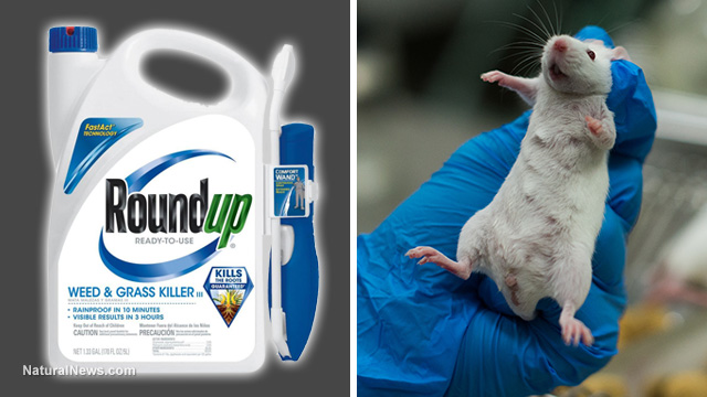 Bayer to cut 12,000 jobs worldwide as company faces 10,000 lawsuits over Monsanto’s Roundup (glyphosate) herbicide causing cancer