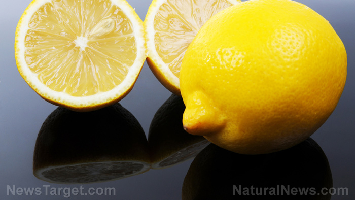 Compounds in lemon found to effectively fight cancer without harmful side effects