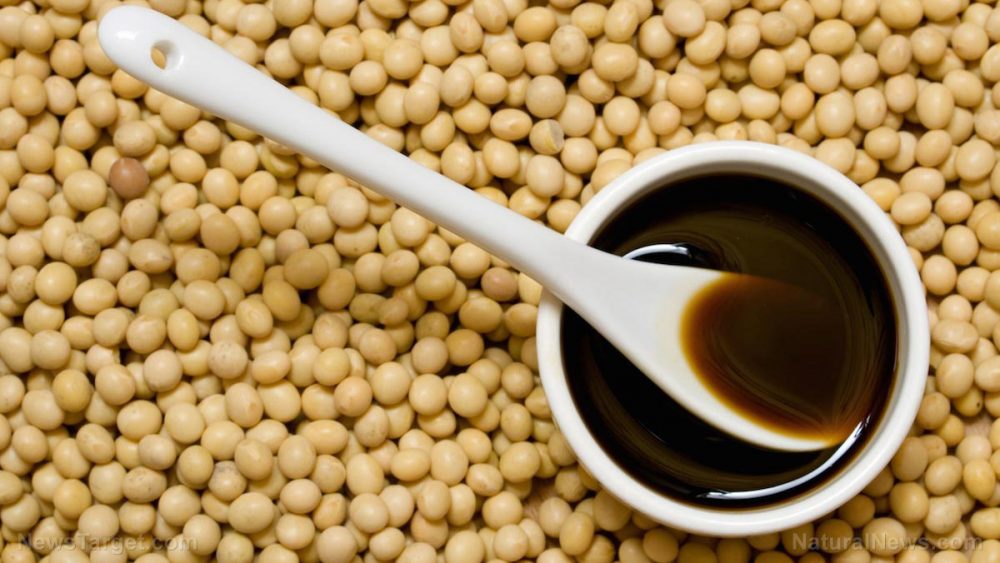 Woman nearly dies after “soy sauce cleanse” hoax promoted on social media – is MSG to blame?