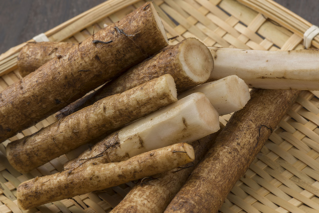 Burdock: The nutrients, medicinal uses and history of this worldwide weed