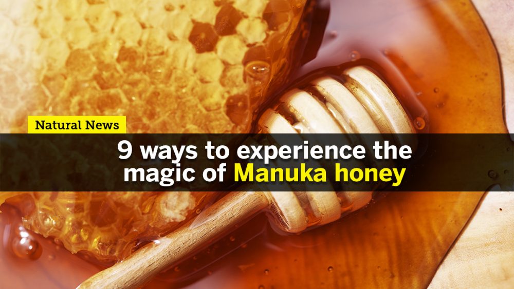 Nine ways to experience the magic of Manuka honey