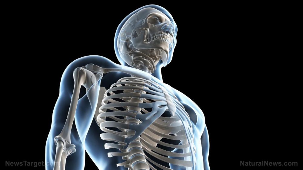 Hungry to your bones? Scientists discover a hormone produced by our bones plays a key role in appetite and metabolism