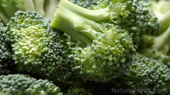 Powerful natural medicine in broccoli sprouts found to prevent cancer and protect the brain from stroke damage