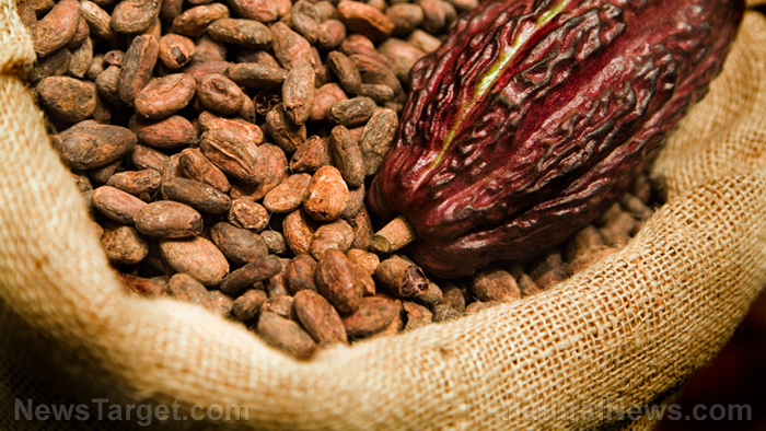 Eat your way to better health with cacao and maca