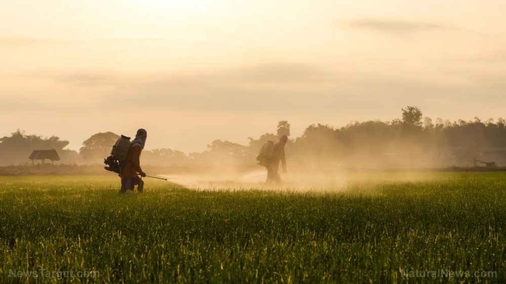 Comprehensive review reveals horrifying gaps in the safety testing of pesticides