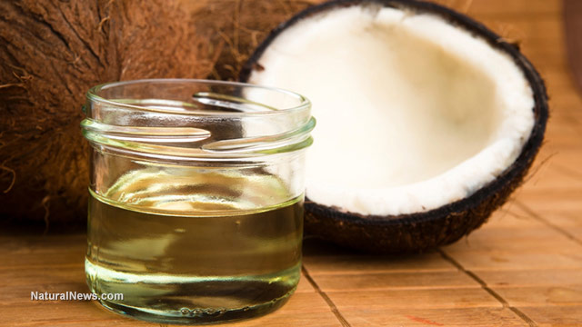 Coconut oil studied for its potential to reverse Alzheimer’s
