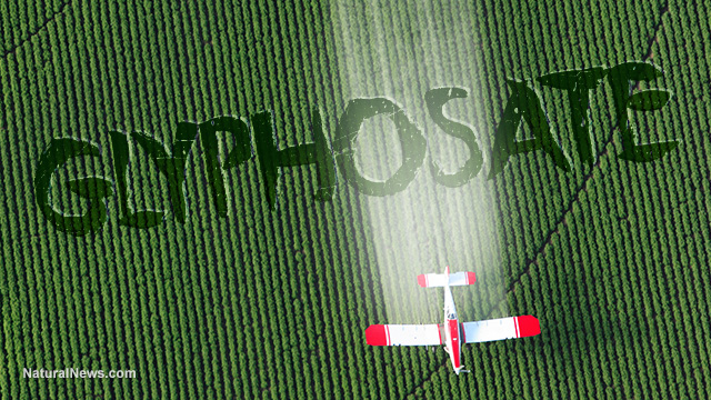 Glyphosate exposure found to hike non-Hodgkin lymphoma risk by 41% … and this deadly weed killer chemical inundates our food supply