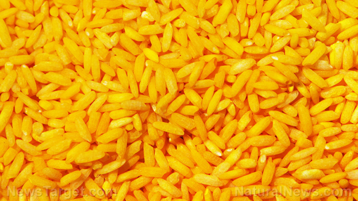GMO “golden rice” over-hyped nutrition claims dismantled by none other than the FDA