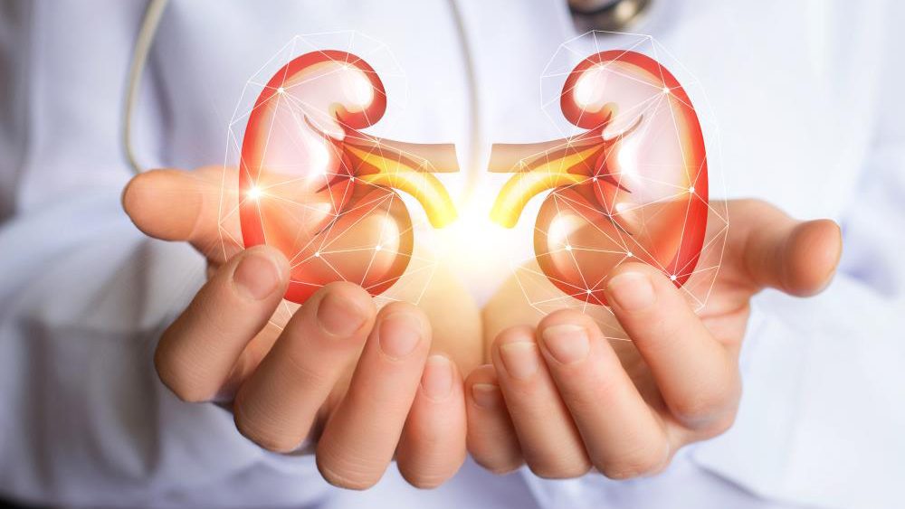 Easily avoid kidney disease by improving your diet