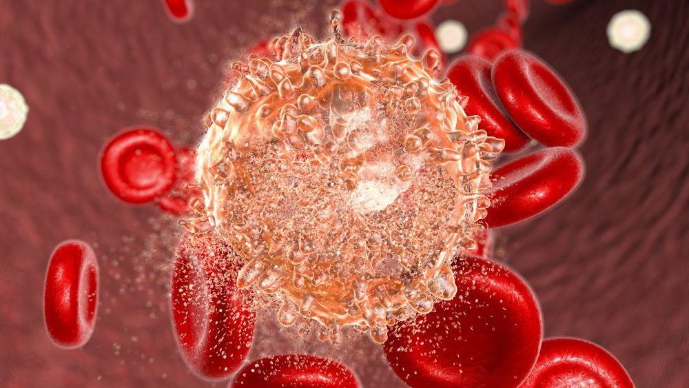 Study investigates the anti-leukemia potential of Australian raspberry