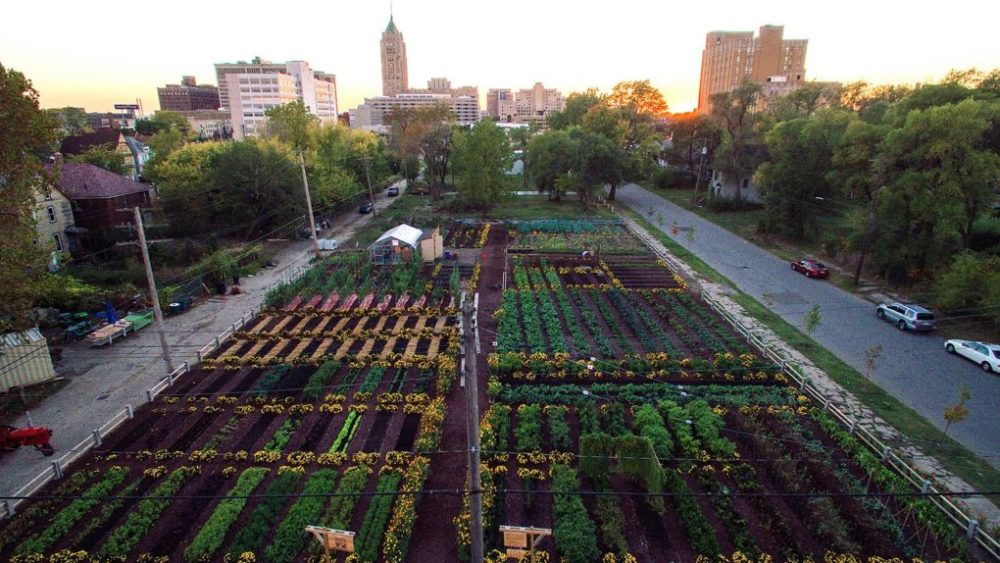 Gaining food independence in the city: Researchers are working on new technologies for growing food sustainably in small, controlled spaces