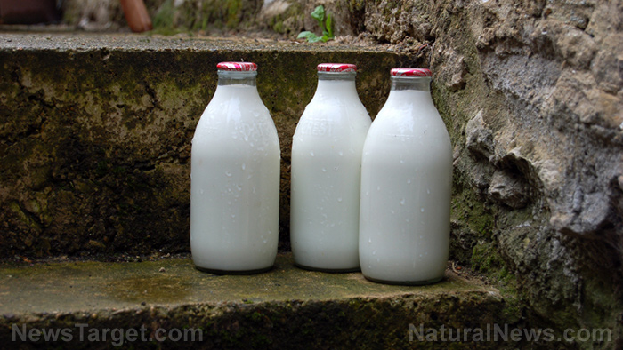 Drinking raw, organic milk improves your health