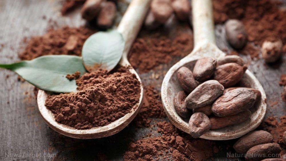 Cocoa benefits the heart